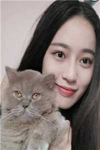 我成了沈家儿媳后，未婚夫和竹马都后悔了陆欣瑶青梅(番外)+(全文)