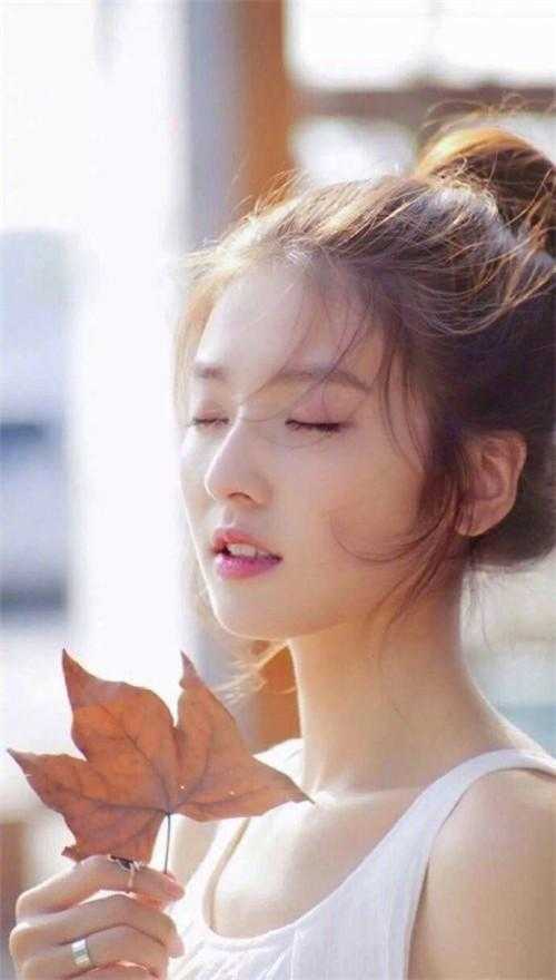再无明月高照热门小说