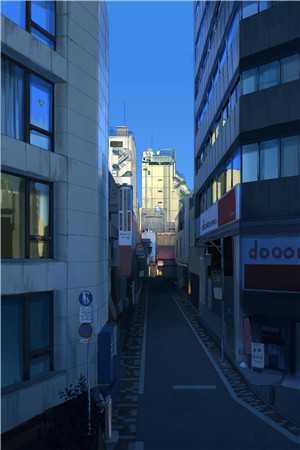 白首无悔坠梦楼全集阅读
