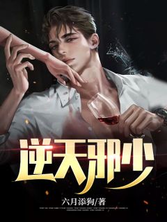 618网站崩溃，我身为技术主管却在楼下打扑克许舟夏羽繁:结局+番外