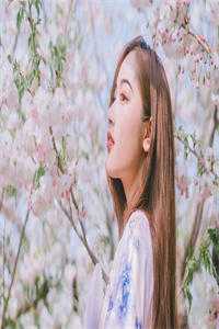高考查分后，我让状元女儿报大专陈曼殊曼殊大结局