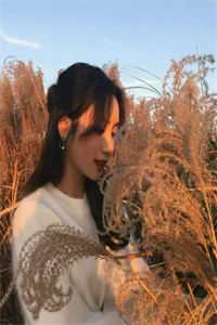 相识千年，狼夫与狐女诞下双修珠全文+后续