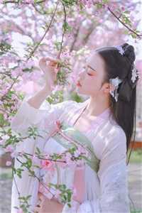 大明：神选帝王的我无敌了全集