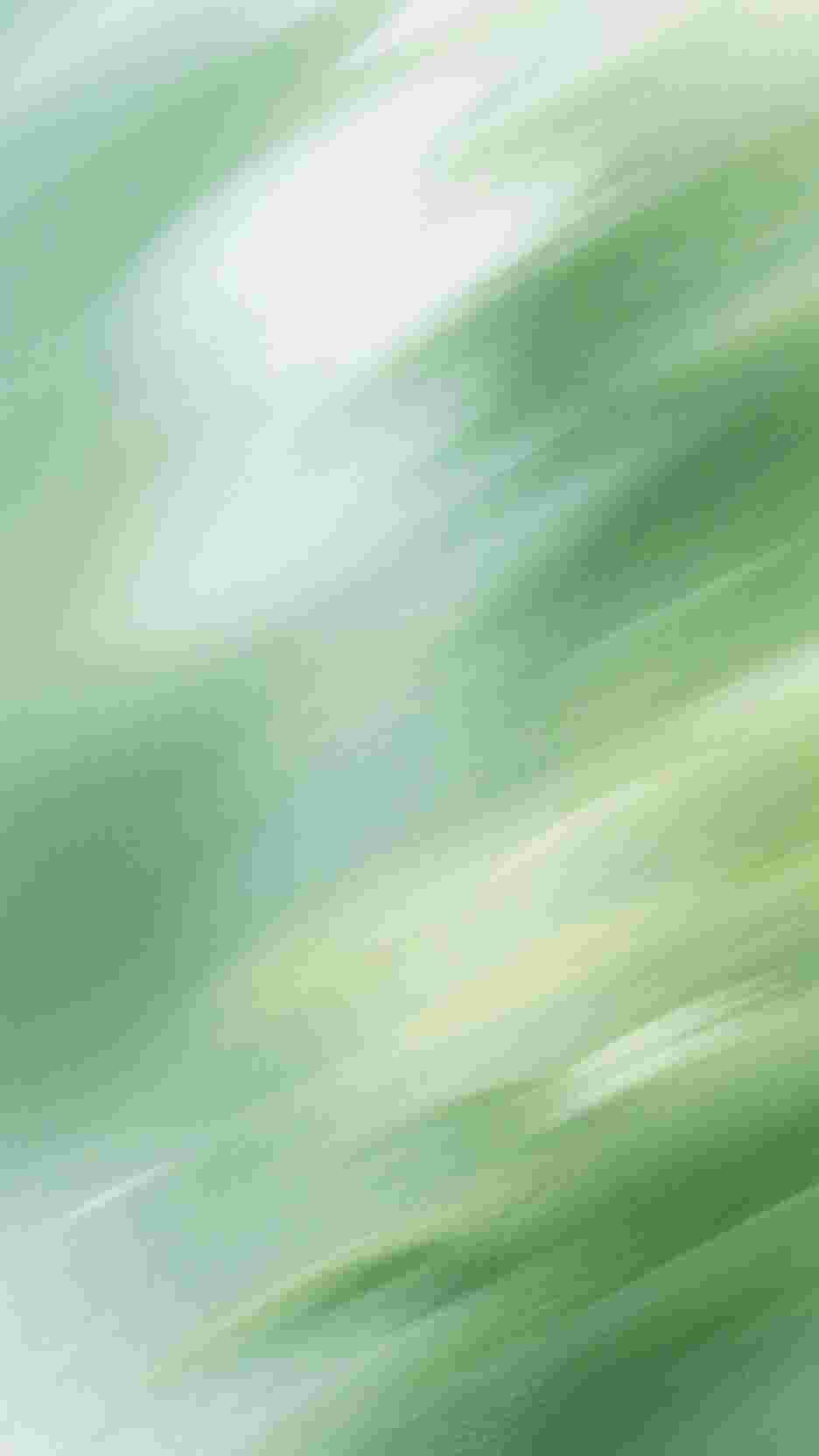 真千金学乖以后谢离谢萱草(番外)+(全文)