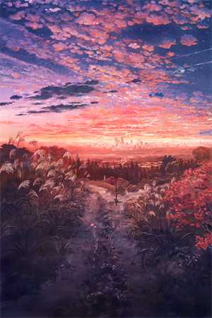藏于盛夏