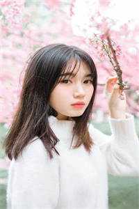 与赵弥清结两姓之好