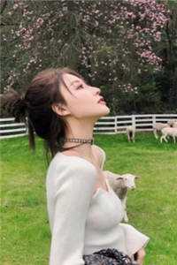 一档叫演员的成长的节目