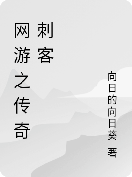 网游之传奇刺客