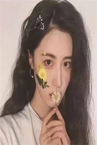 上门女婿四川方言版