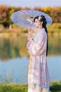 木系菟丝子