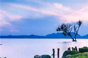 没系统如何在末世发疯