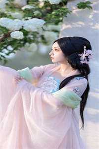圣手医妃飒爆了