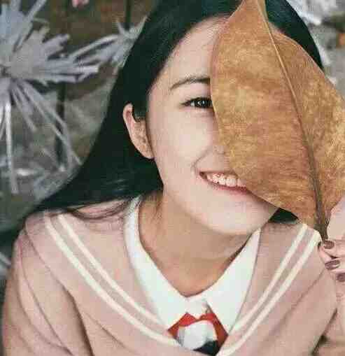 瓷盆成精后，我被送到蛮荒搞基建
