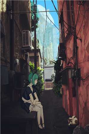 神龙佳婿