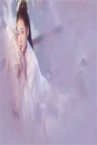 重生后，侯门夫人假死嫁权王阅读全集