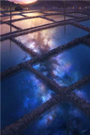 在不远处的路口小说全集