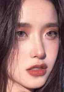 穿成反派亲娘后，她每天都被儿子教育大结局