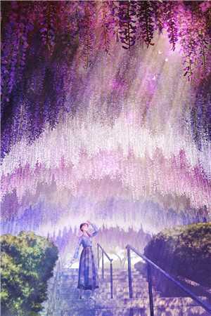 全集阅读离婚后，疯批总裁服软了