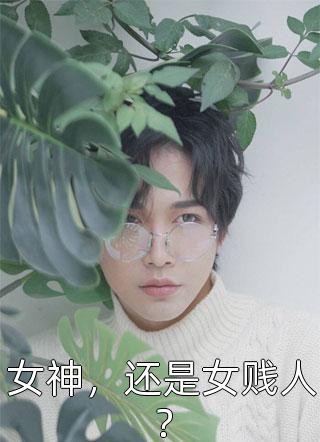 四合院：天道酬勤让生活更美好全集