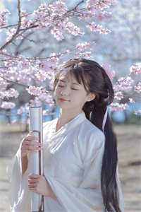 武道枪神小说