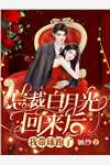 精品小说四年后，捡来的儿子竟成了豪门继承人