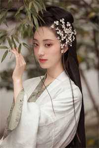 全集乘风万里