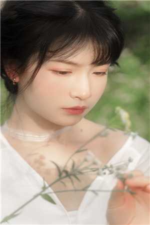 不好啦！王妃杀了那只替嫁拜堂鸡全文章节