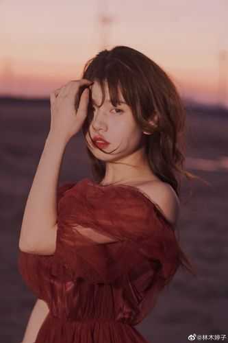退婚当天，声名赫赫的权王要娶我回家全文阅读