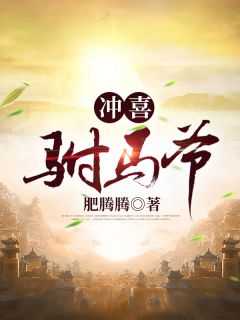 护国神师小说全集