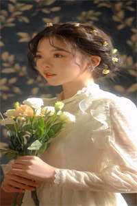 小说全集上门狼婿