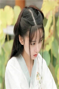 精选小说诸君，且听龙吟