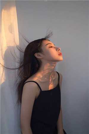 这个项目我投了精品小说