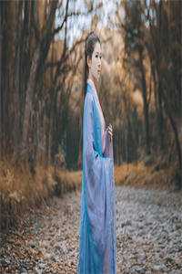 全集阅读大夏皇族