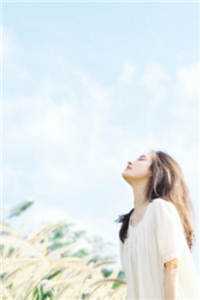 完整版豪门婚契：夫人每天都想离婚