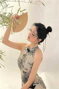 小说全集护国神婿