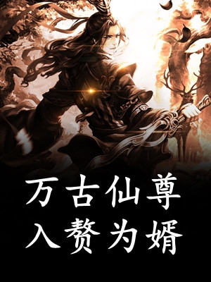 华夏国的网络安全