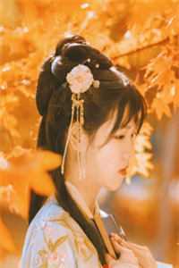 完整版明月回春