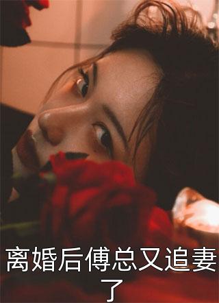 梨涡奔赴全集