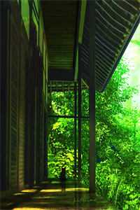 全集小说完美人生，重启2006