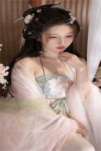 婢女深宫计全章节