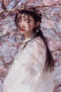 医品弃女小说