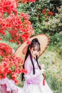 前妻俱乐部全章节