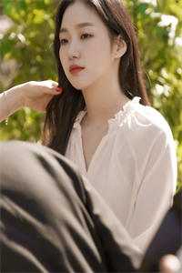 畅读全文版精忠报国