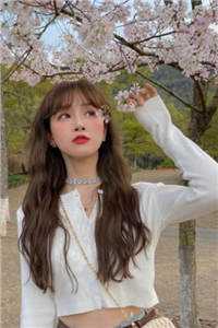 清冷佛子的尤物娇妻畅读佳作