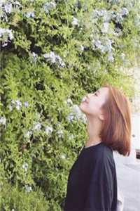 只此浮生皆是梦徐牧野白月光结局+番外