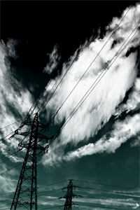 我与王爷一起摆烂